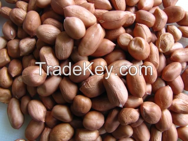 PEANUTS/GROUNDNUTS