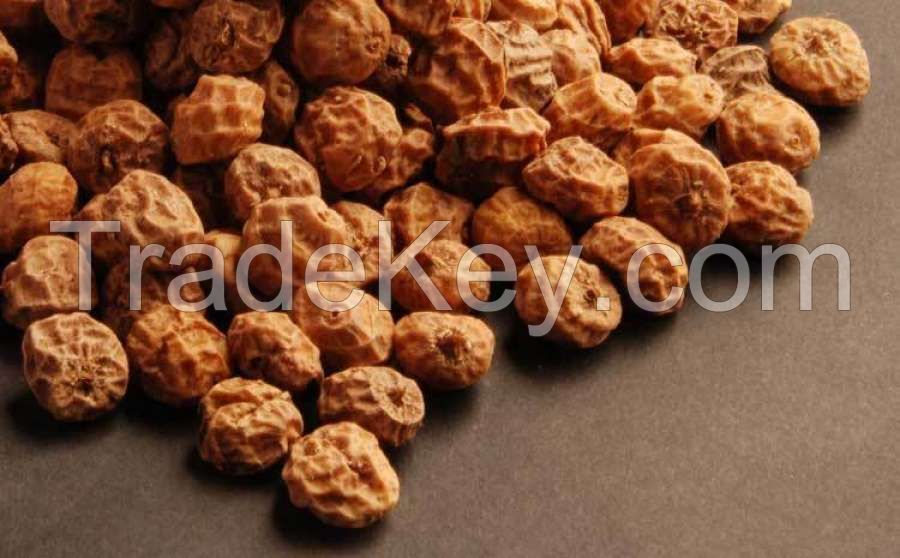 Tiger Nuts