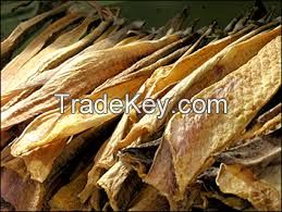 Dried and fresh stock fish