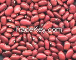 Kidney Beans