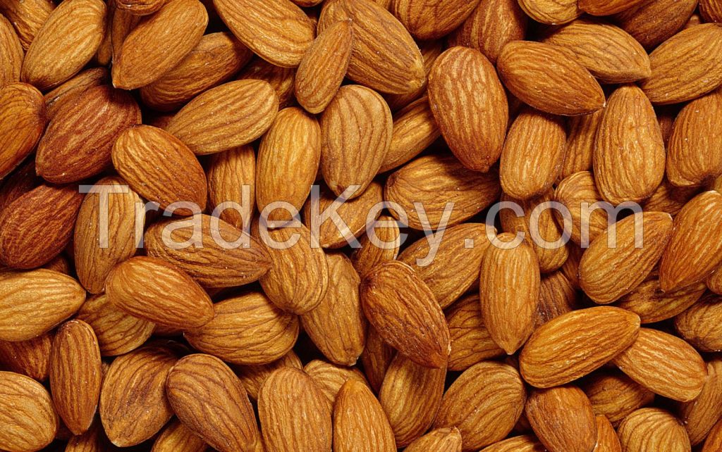 Quality Dried Almond Nut