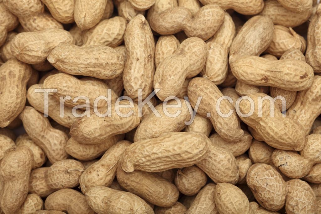 Quality Peanut