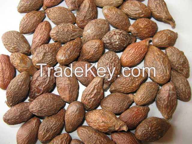 Quality Dried Malva nut