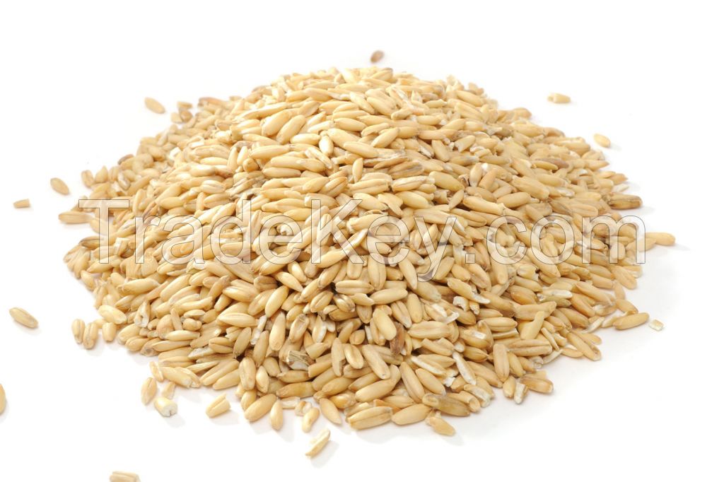 Oats