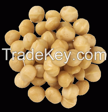 Quality Macadania nuts