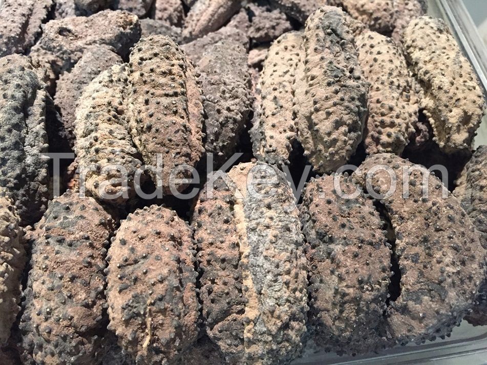 Dried sea cucumber