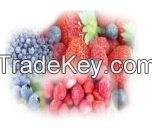 IQF, FD CONCENTRATED FRUIT PRODUCTS