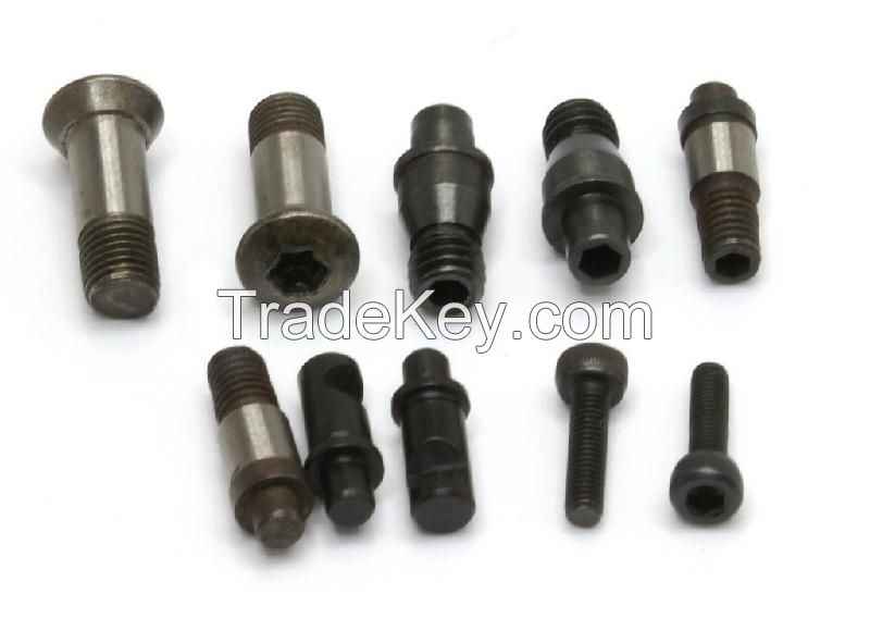 Customized Special Fastener