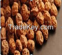 SELL TIGER NUTS