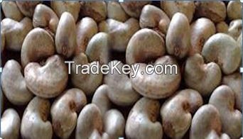 SELL RAW CASHEW NUTS IN SHELL