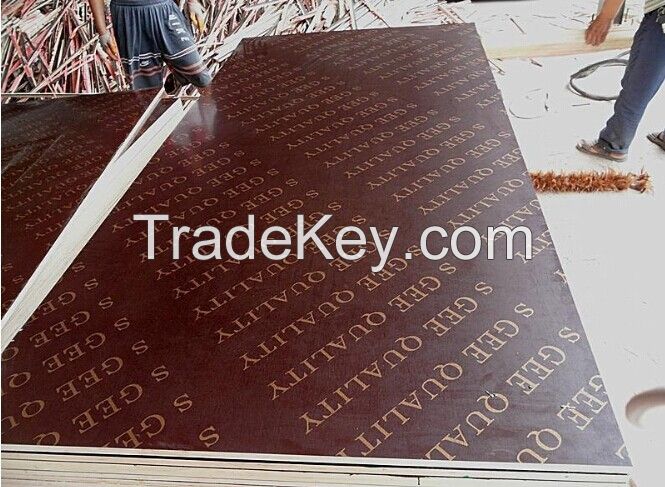 Hot selling!!!! Film faced plywood with logo