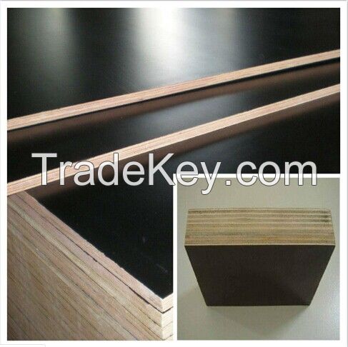 Hot selling!!!! Marine plywood