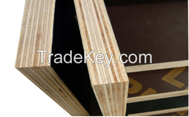 Hot selling!!!! Birch core film faced plywood