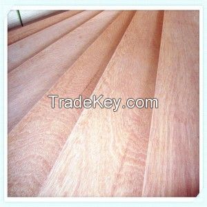 Keruing plywood