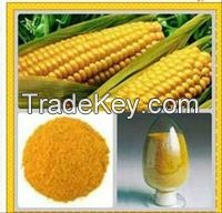 High Quality Yellow corn