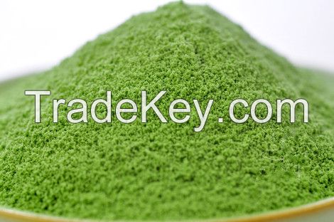 wheat grass powder/barley grass powder