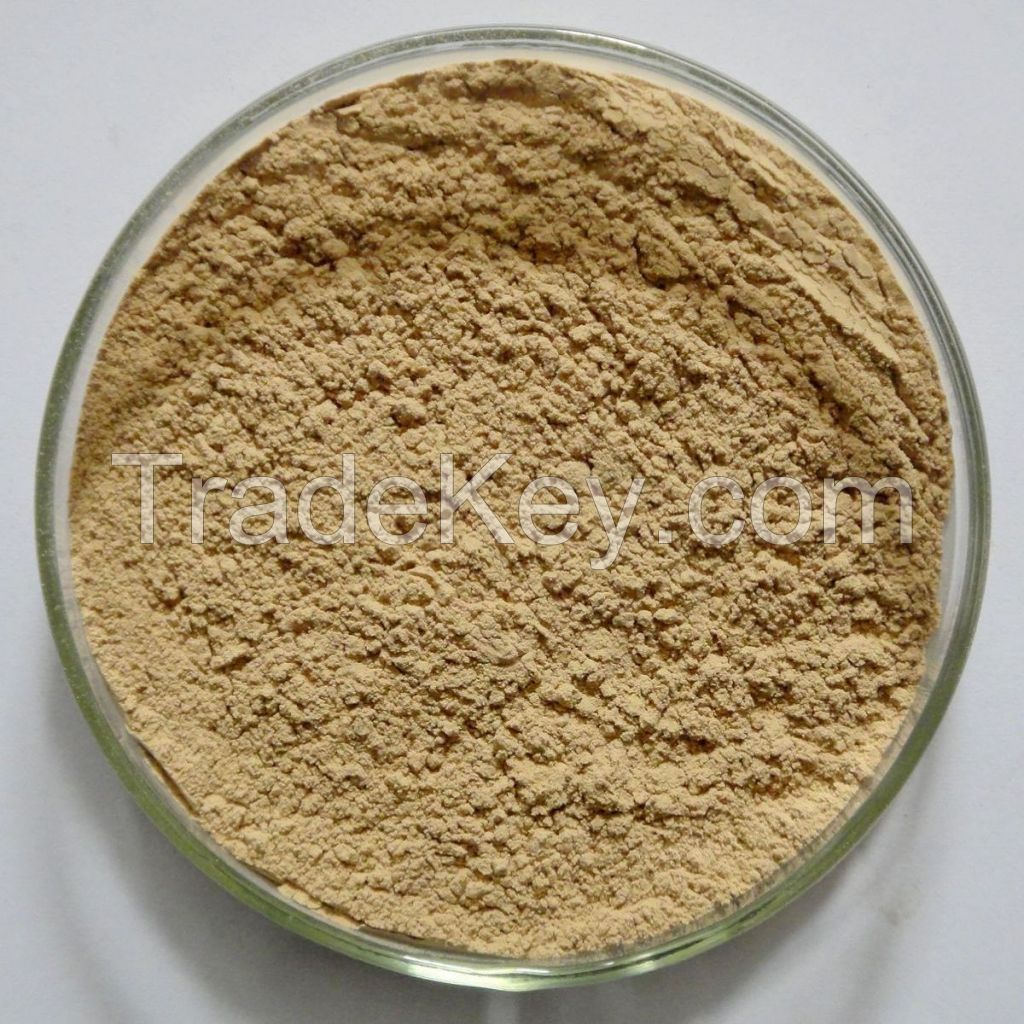 Green coffee bean extract 50% chlorogenic acids