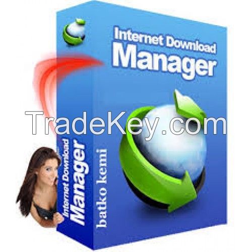 Internet Download Manager