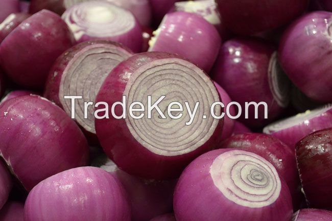 FRESH RED ONIONS