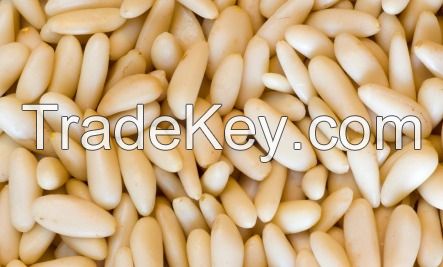 Pine Nuts, Best Quality Pine Nuts, Grade A Pine Nuts