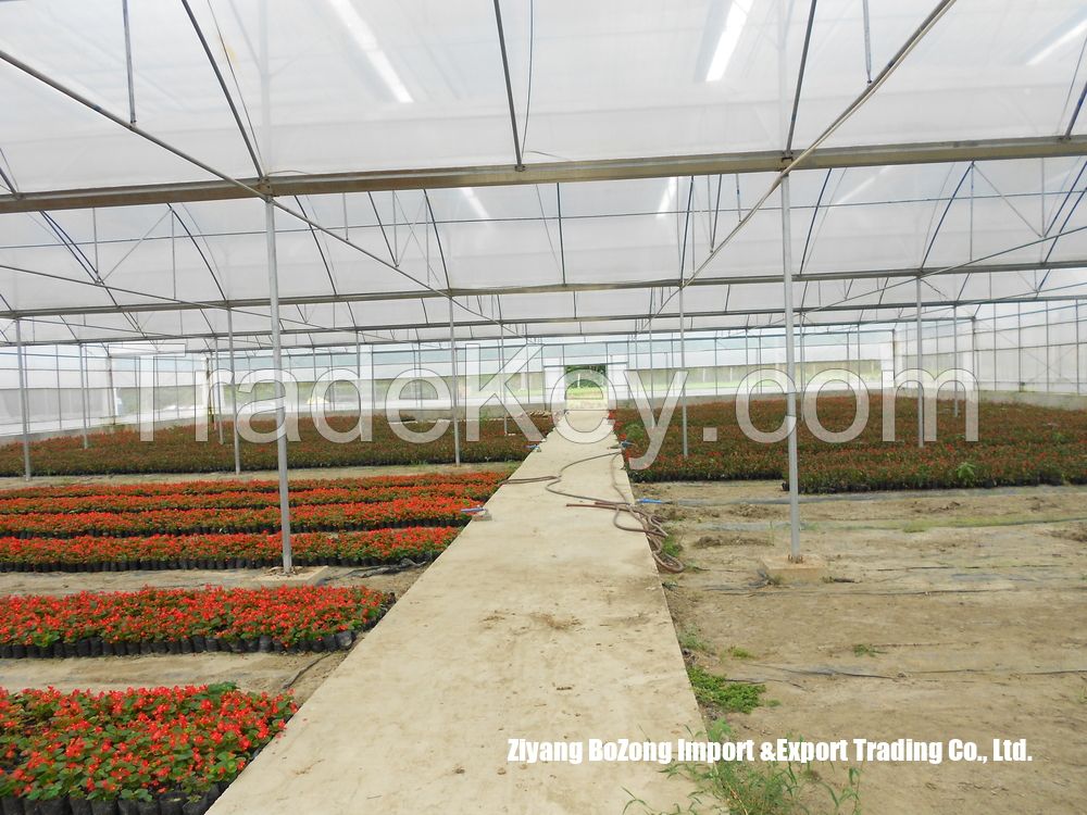 Commercial Grower