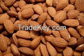 Sell Premium Quality Dried Sweet Almond Nuts