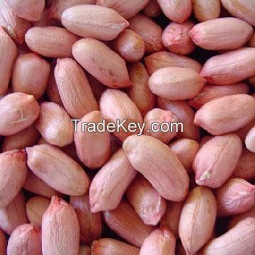 Sell Ground Nuts , Pea Nuts, 