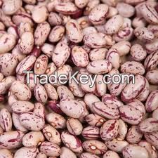 kidney beans for sale