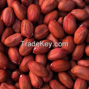 Red Skin Peanut Kernels