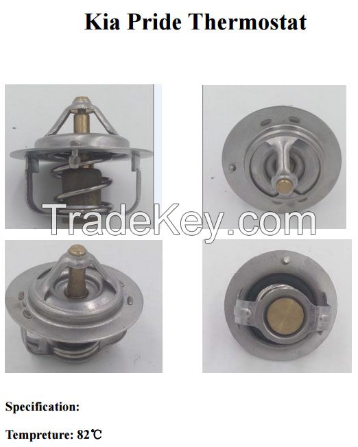 Thermostat for various brand
