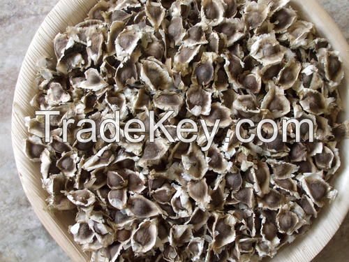 Natural Moringa Seed Extract and Powder