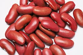 Kidney Beans