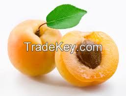 Apricot Kernels