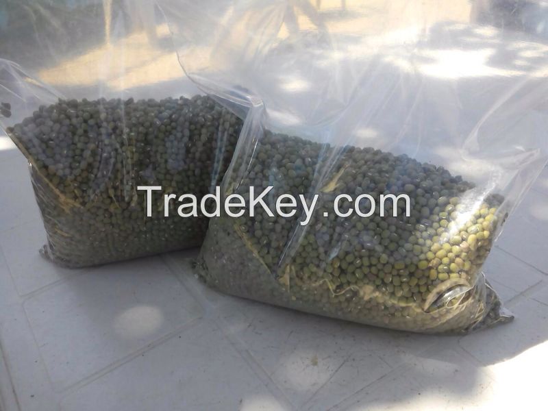 GREEN MUNG BEANS