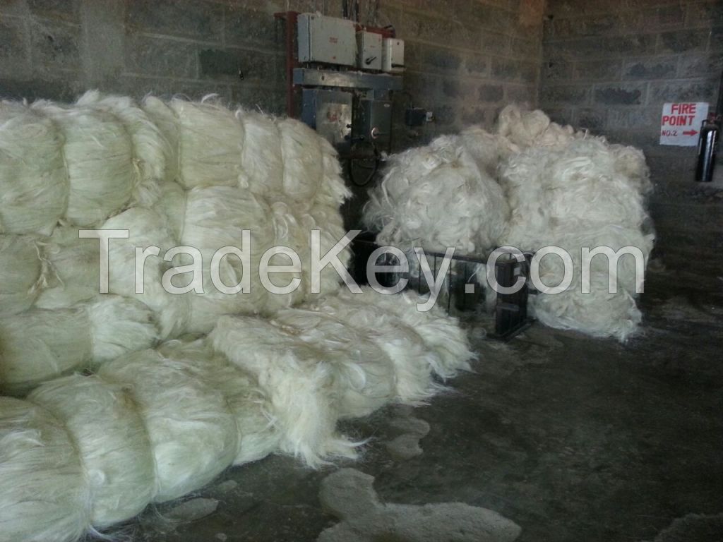 Natural White Sisal Fiber at Competitive Price with Free Samples
