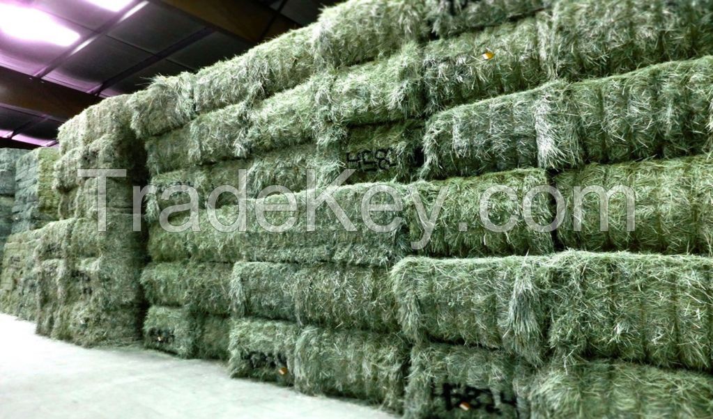 Sell Alfalfa Hay for Animal Feed and Pellet