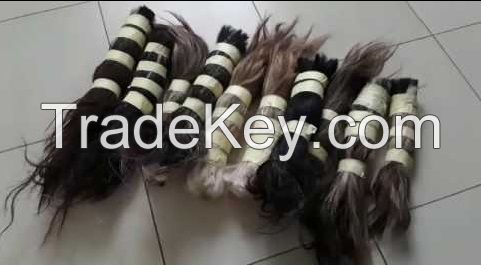 Sell Cattle Tail Hairs(Treated and Disinfected)