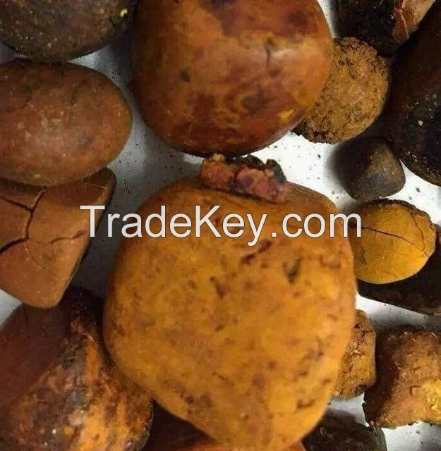 Ox-Gallstone(Fresh, Dried and Powder)