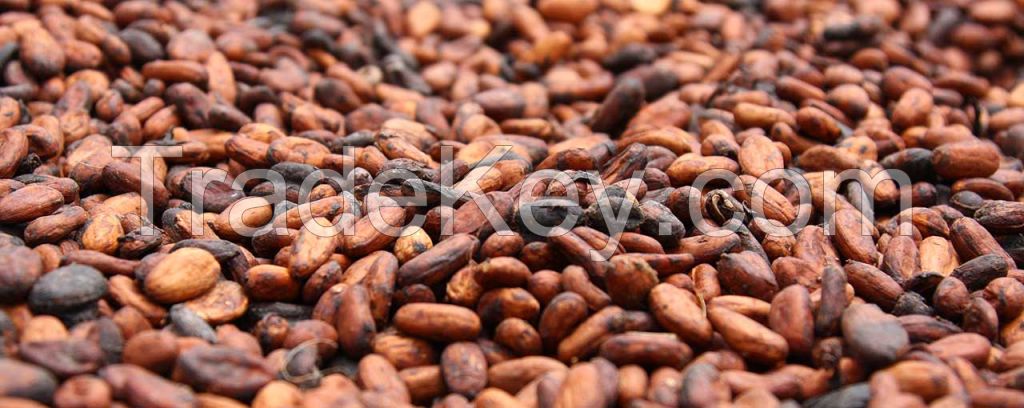 Sell Sun Dried Cocoa Beans(Beans, juice and Powder)