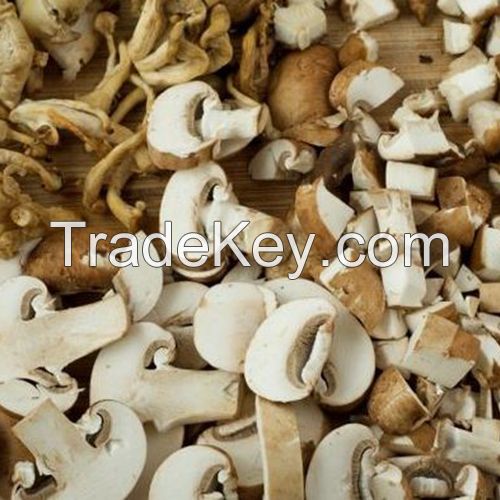 Assorted edible mushrooms