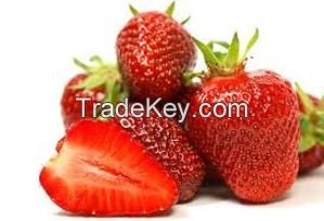 Organic Strawberry Fruit