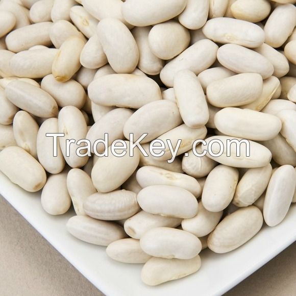 Bulk 100% White kidney beans (Cannellini Beans)