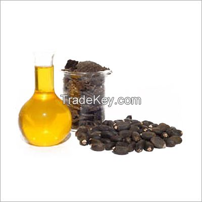 100% Pure Jatropha Oil Biodiesel