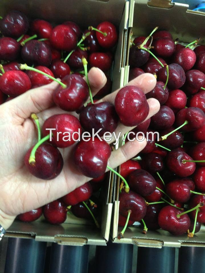 fresh cherries