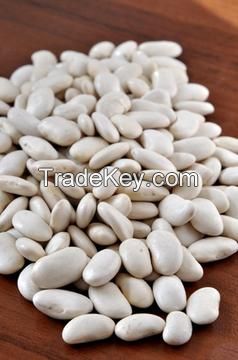 Sell Egyptian Fresh White Kidney Beans