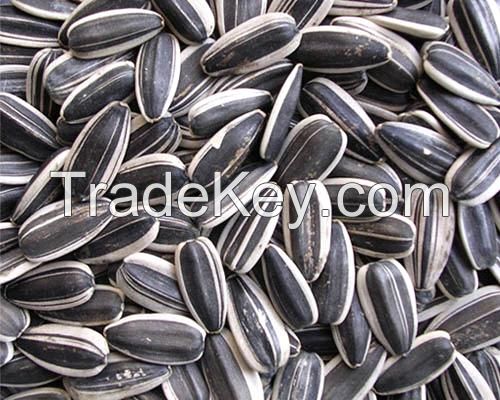 Black Sunflower Seeds