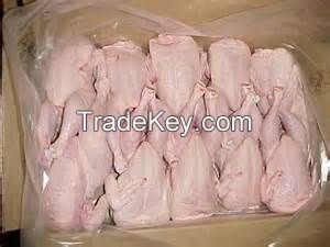 TOP QUALITY GRADE A++ HALAL WHOLE FROZEN CHICKEN