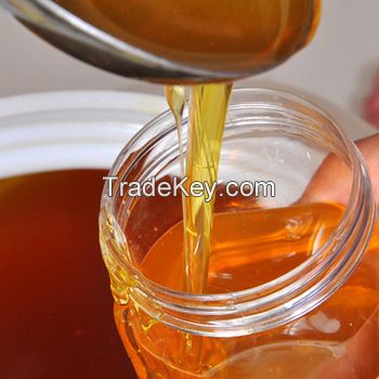 High Quality Pure Natural honey from Honey Bee