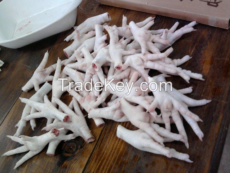 Top Grade Frozen Chicken Feet / Frozen Chicken Paws /Halal Chicken Feet and Paws