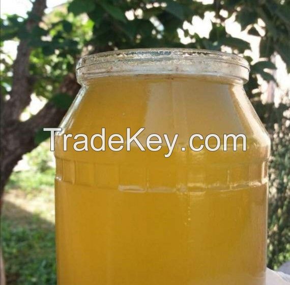 Natural , High Quality Organic HONEY